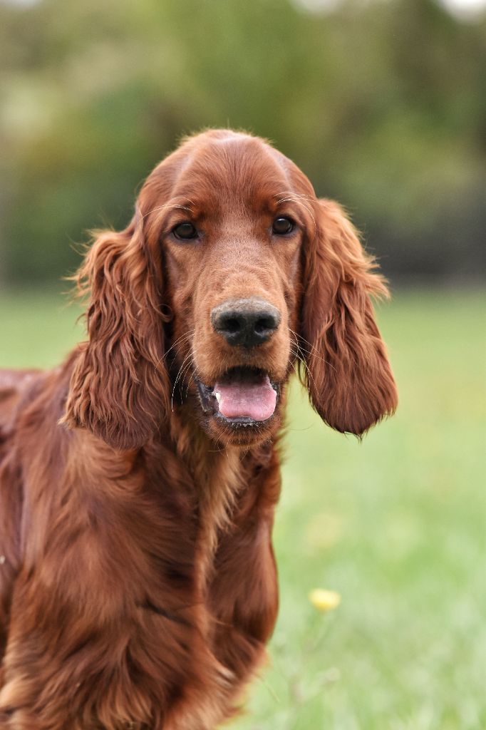 Striking starlight lofty