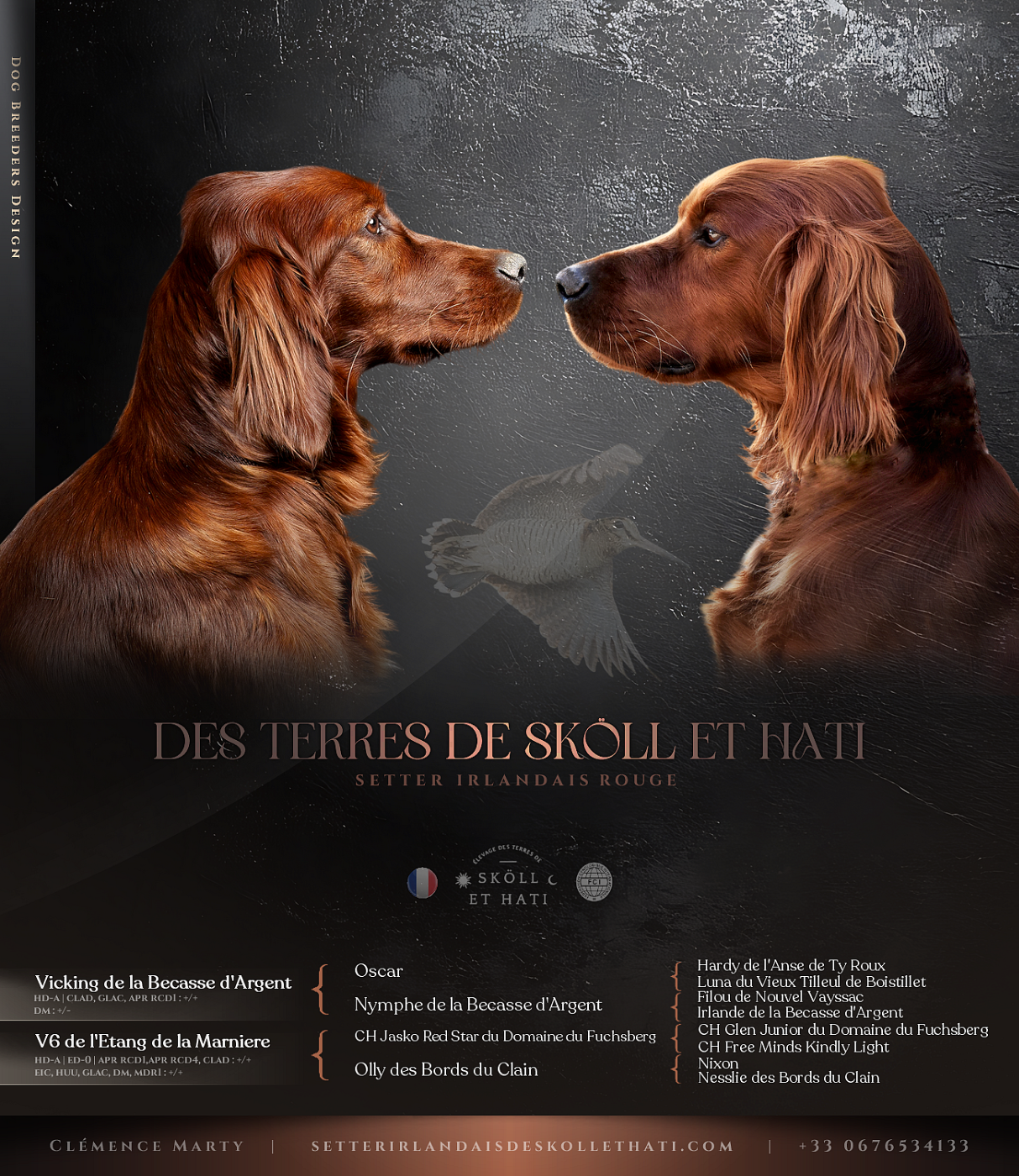 NAISSANCE FIN FÉVRIER